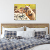 Erdeichhörnchen Leinwanddruck (Insitu (Schlafzimmer))