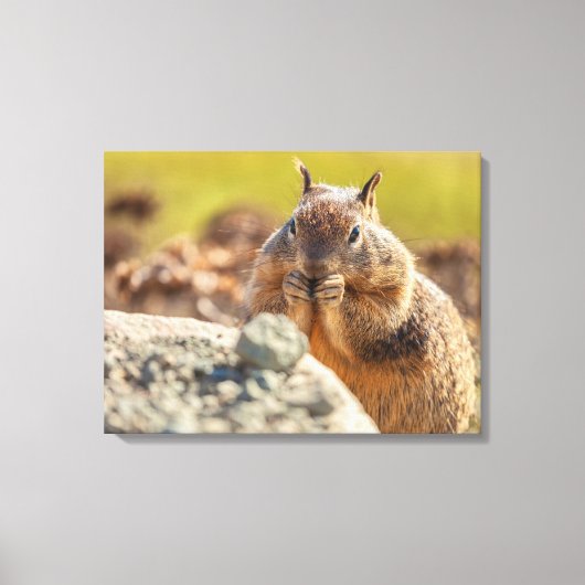 Erdeichhörnchen Leinwanddruck (Vorderseite)