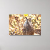 Erdeichhörnchen Leinwanddruck (Vorderseite)