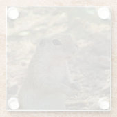 Erdeichhörnchen Stehendes Foto Wüstentier Glasuntersetzer (Rückseite)