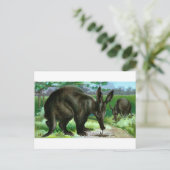 Erdferkel Postkarte (Stehend Vorderseite)