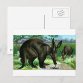 Erdferkel Postkarte (Vorne/Hinten)
