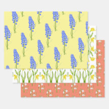 Erdfrühling auf Papierfolien (M,D,S)