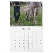 Erdgeist-Pferderettung, Kalender 2011 (Mär 2027)