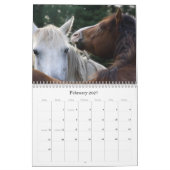 Erdgeist-Pferderettung, Kalender 2011 (Feb 2027)