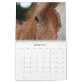 Erdgeist-Pferderettung, Kalender 2011 (Jan 2027)