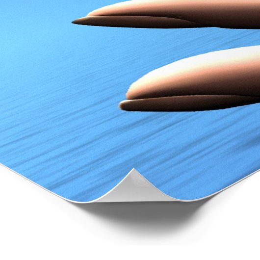 ERDGLOBDRUCKEN POSTER (Ecke)