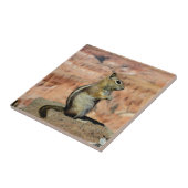 Erdhörnchen mit goldenem Mantel Fliese (Seite)