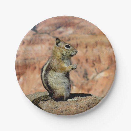 Erdhörnchen mit goldener Mantel Pappteller (Vorderseite)