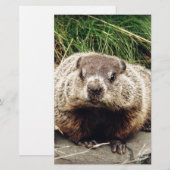 Erdhuhn Briefpapier (Vorne/Hinten)