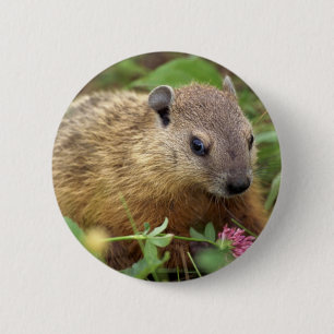 Erdhuhn Button