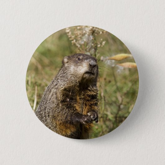 Erdhuhn Button (Vorderseite)