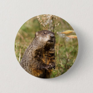 Erdhuhn Button