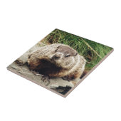 Erdhuhn Fliese (Seite)