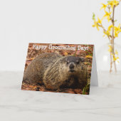 Erdhuhn Karte (Gelbe Blume)