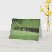 Erdhuhn Karte (Gelbe Blume)