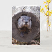 Erdhuhn Karte (Gelbe Blume)