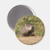 Erdhuhn Magnet (Vorderseite/Rückseite)