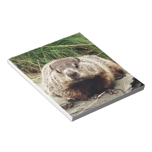 Erdhuhn Notizblock (angewinkelt)