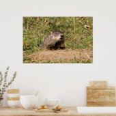 Erdhuhn Poster (Küche)