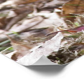 Erdhuhn Poster (Ecke)