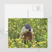 Erdhuhn Postkarte (Vorne/Hinten)