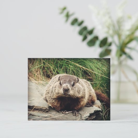 Erdhuhn Postkarte (Stehend Vorderseite)