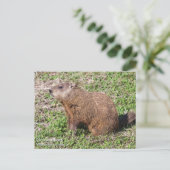 Erdhuhn Postkarte (Stehend Vorderseite)