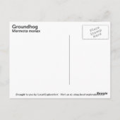 Erdhuhn Postkarte (Rückseite)