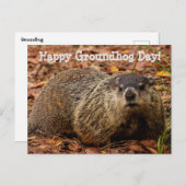 Erdhuhn Postkarte (Vorne/Hinten)