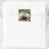 Erdhuhn Quadratischer Aufkleber (Tasche)