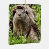 Erdhusten in einem Hollow Log Keramikornament (Rechts)