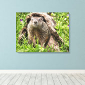 Erdhusten in einem Hollow Log Leinwanddruck (Insitu (Holzboden))