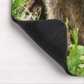 Erdhusten in einem Hollow Log Mousepad (Ecke)
