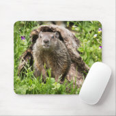 Erdhusten in einem Hollow Log Mousepad (Mit Mouse)