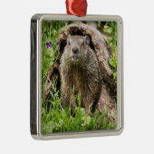 Erdhusten in einem Hollow Log Ornament Aus Metall (Rechts)