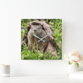 Erdhusten in einem Hollow Log Quadratische Wanduhr (Zuhause)