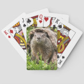 Erdhusten in einem Hollow Log Spielkarten (Rückseite)