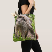 Erdhusten in einem Hollow Log Tasche (Von Nahem)