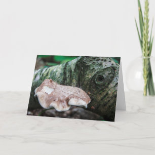 Erdkreaturkarte Karte