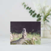 Erdmann Postkarte (Stehend Vorderseite)