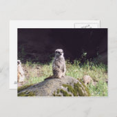 Erdmann Postkarte (Vorne/Hinten)