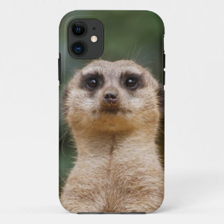 Erdmännchen 001 Case-Mate iPhone hülle