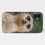 Erdmännchen 001 Case-Mate iPhone hülle (Rückseite (Horizontal))