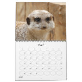 Erdmännchen 002 kalender (Mär 2027)