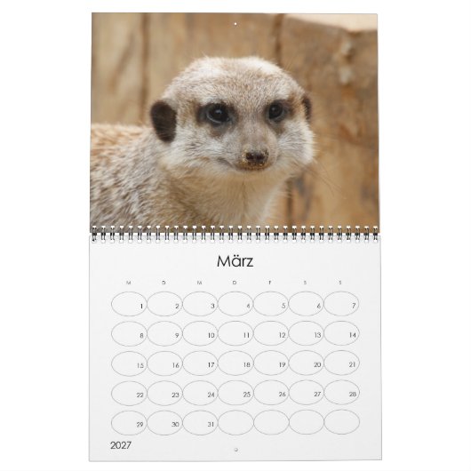 Erdmännchen 002 kalender (Mär 2027)