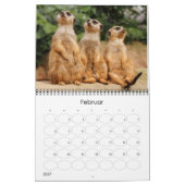 Erdmännchen 002 kalender (Feb 2027)