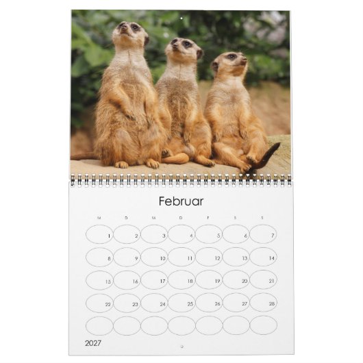 Erdmännchen 002 kalender (Feb 2027)