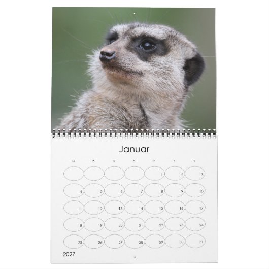 Erdmännchen 002 kalender (Jan 2027)