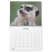Erdmännchen 002 kalender (Jan 2026)